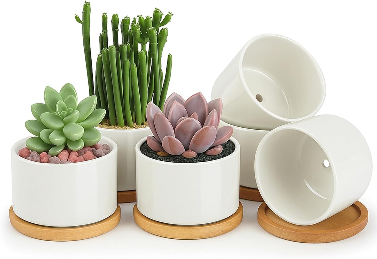 6-Pack 3.6 Inch Ceramic Succulent Pots with Drainage Holes & Bamboo Tray – Small White Planters for Indoor Plants, Home, Office, Desk, Windowsill & Table Decor